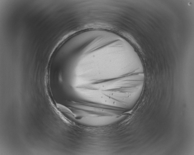 X0000082171040200702092238