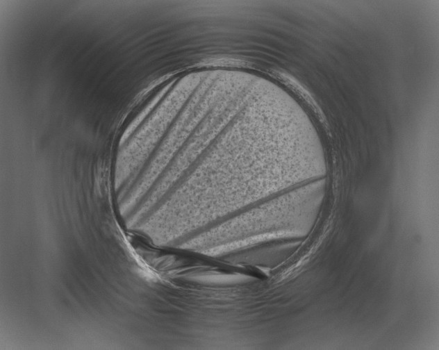 X0000082171041200702092238