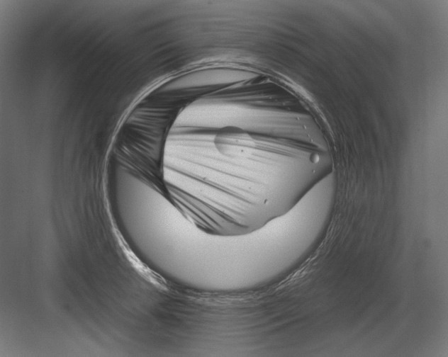 X0000082171042200702092238