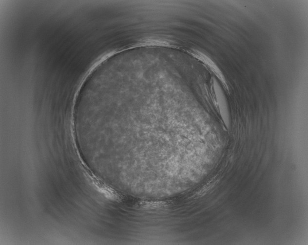 X0000082171043200702092238