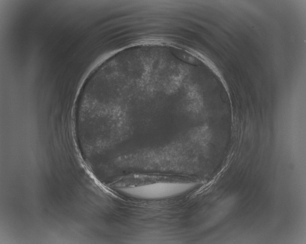 X0000082171045200702092238