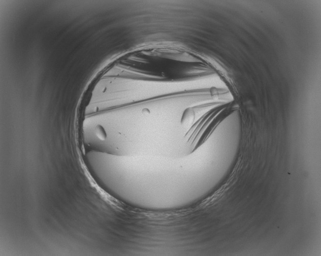 X0000082171046200702092238