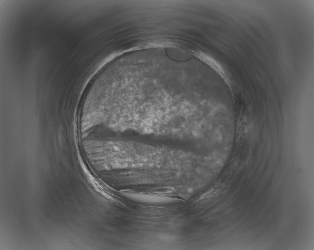 X0000082171047200702092238