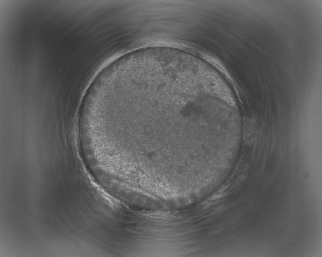 X0000082171048200702092238