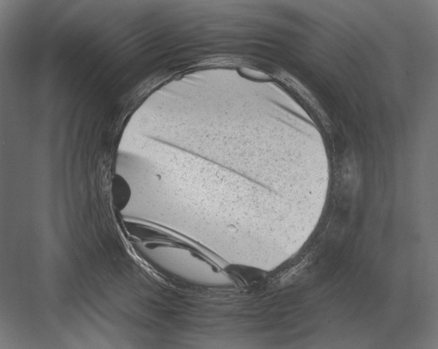 X0000082171049200702092238