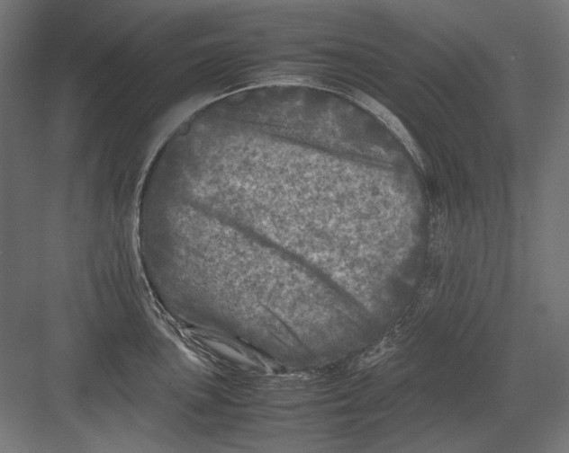 X0000082171051200702092238