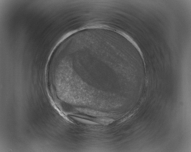 X0000082171053200702092238