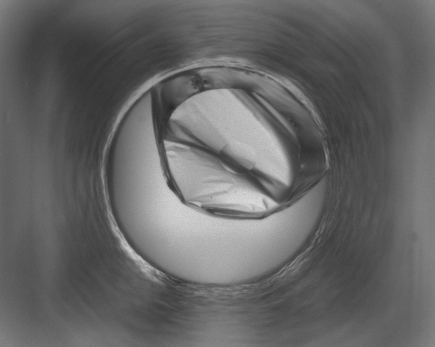 X0000082171054200702092238