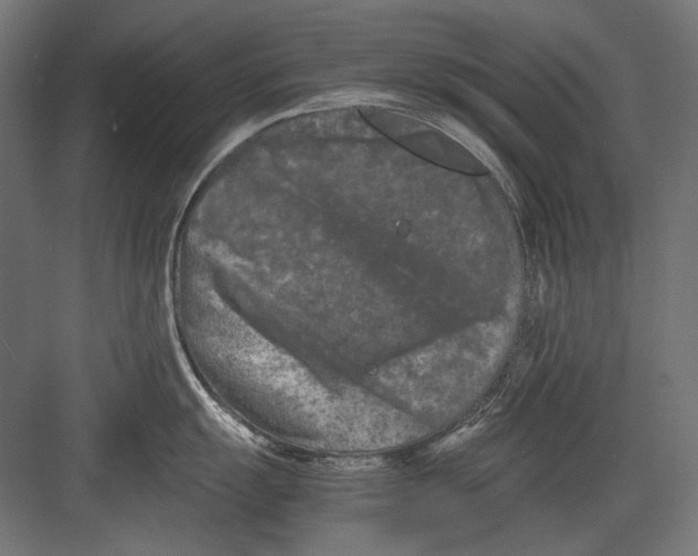 X0000082171055200702092238