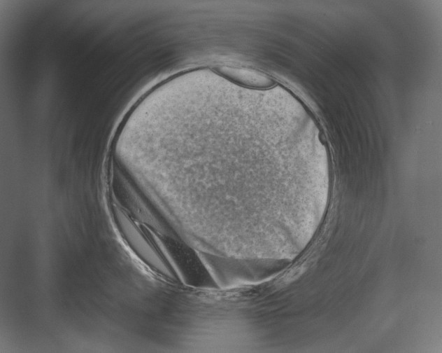 X0000082171056200702092238