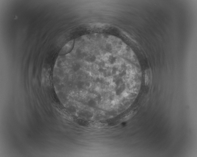 X0000082171059200702092238