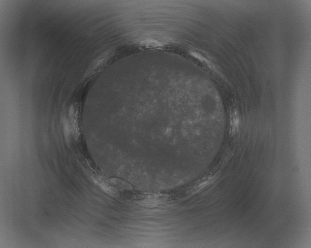 X0000082171060200702092238