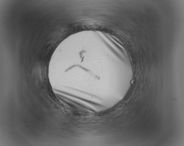 X0000082171061200702092238