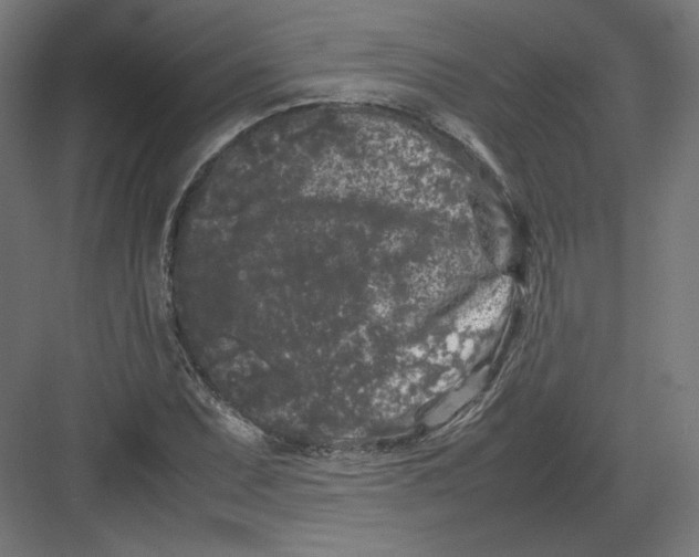 X0000082171071200702092237