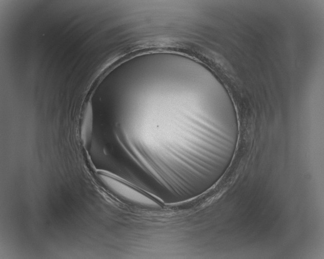 X0000082171073200702092237