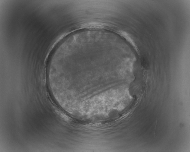 X0000082171075200702092237