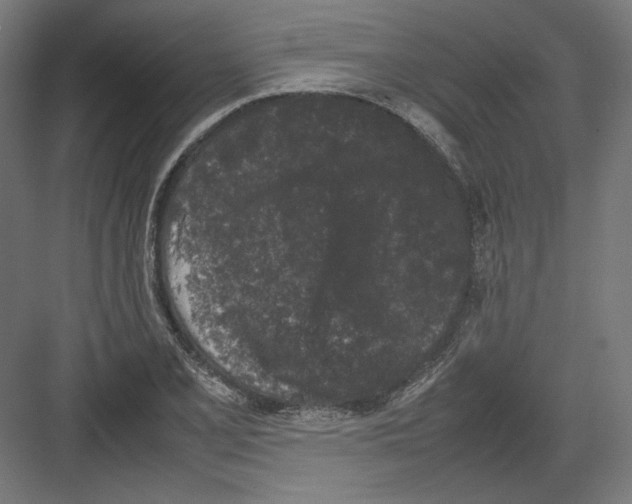 X0000082171077200702092237