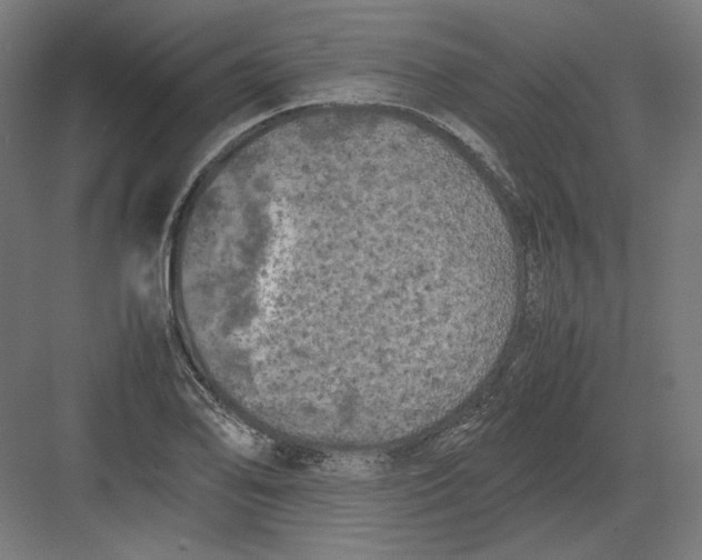 X0000082171078200702092237