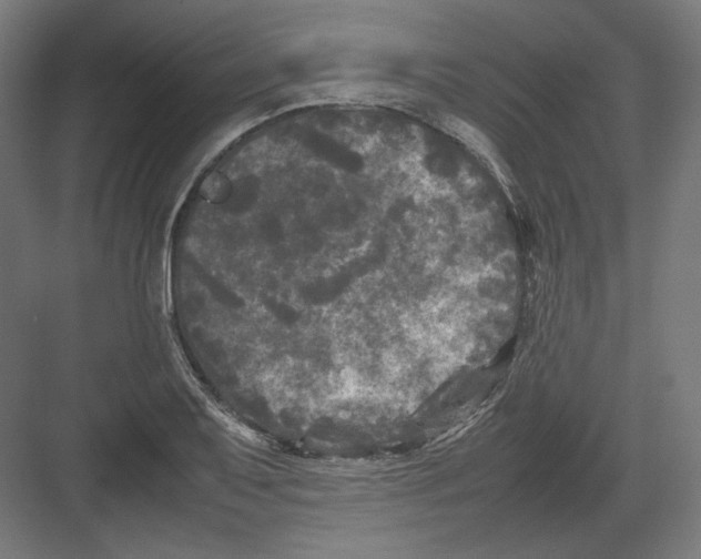 X0000082171079200702092237