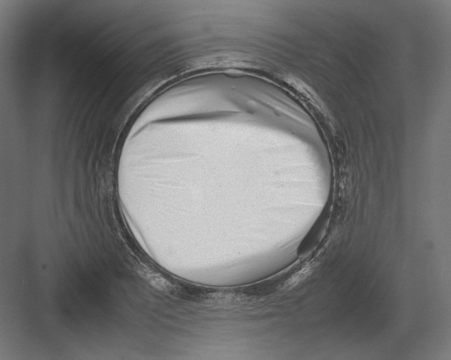 X0000082171081200702092237