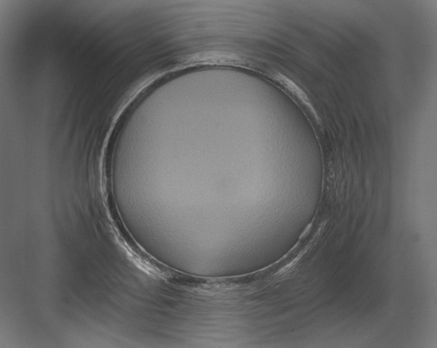 X0000082171082200702092237