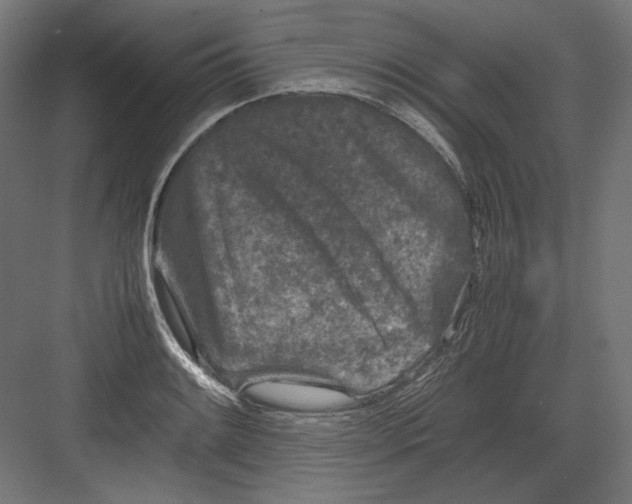 X0000082171084200702092237