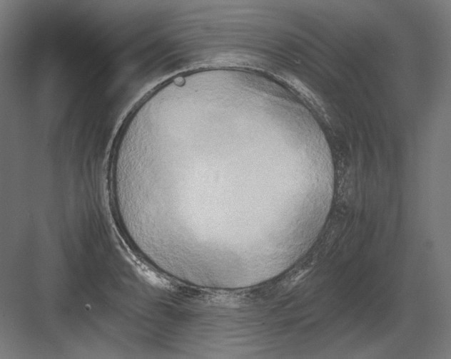 X0000082171086200702092237