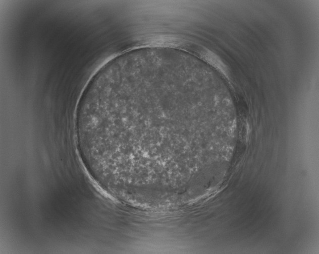 X0000082171087200702092237