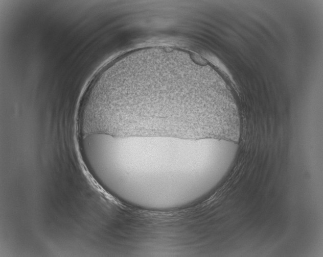 X0000082171088200702092237