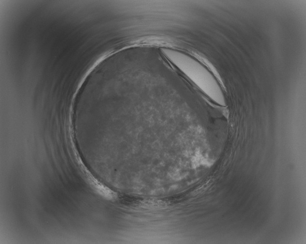 X0000082171091200702092237