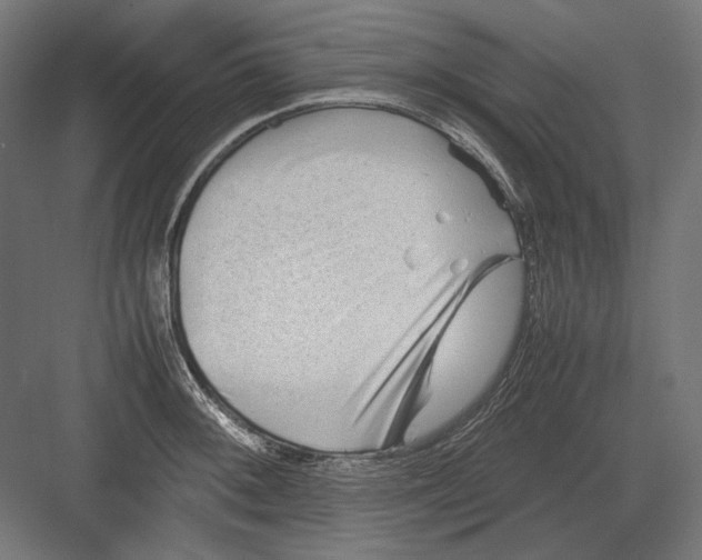 X0000082171092200702092237