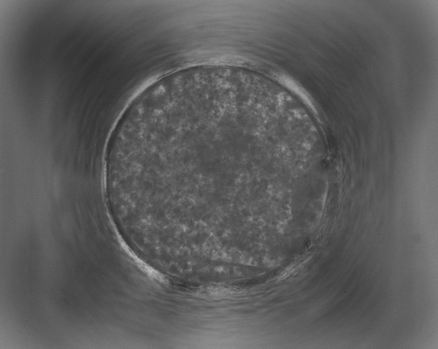 X0000082171095200702092237