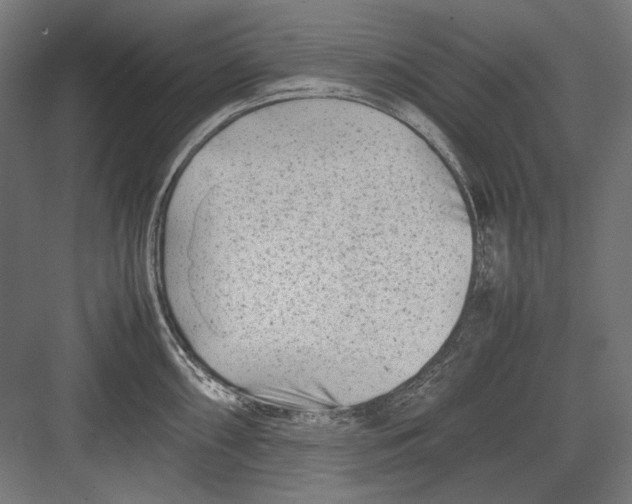 X0000082171098200702092237