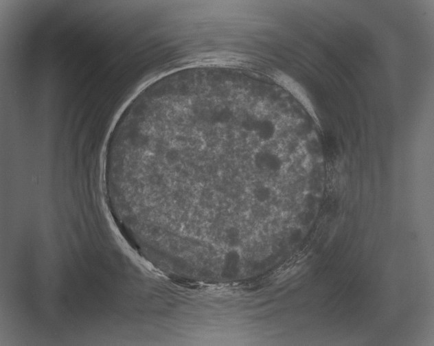 X0000082171099200702092237