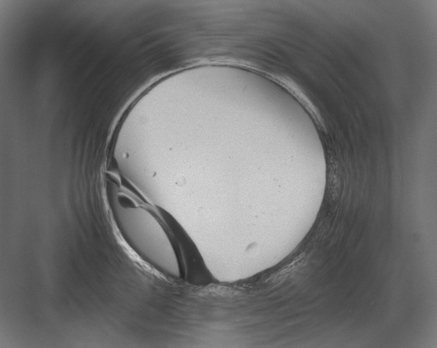 X0000082171100200702092237