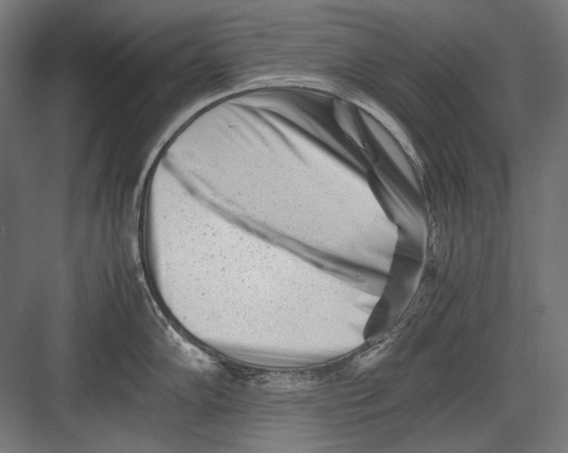 X0000082171102200702092237