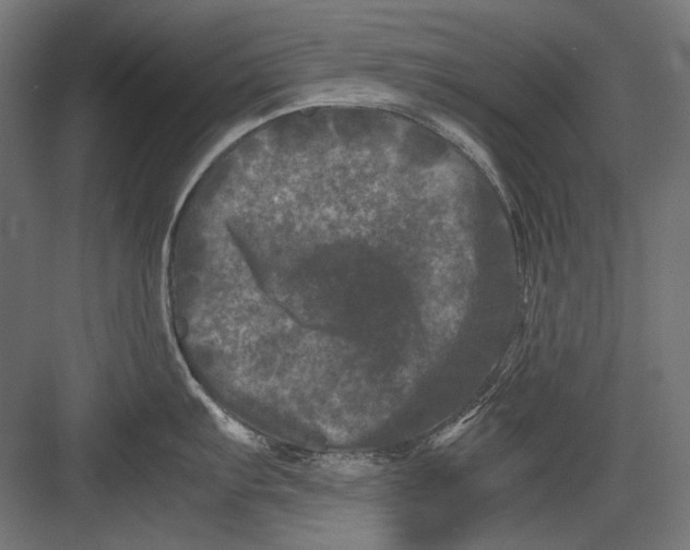 X0000082171103200702092237