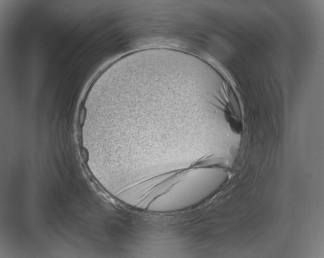 X0000082171104200702092237