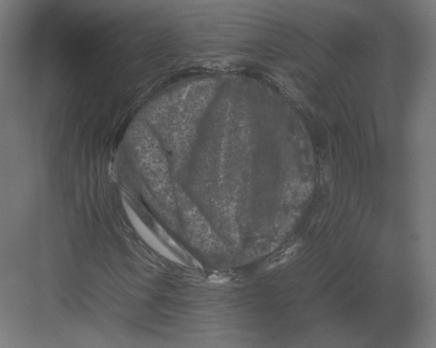 X0000082171106200702092236