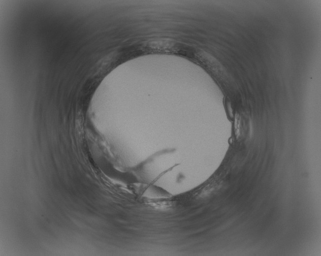 X0000082171107200702092236