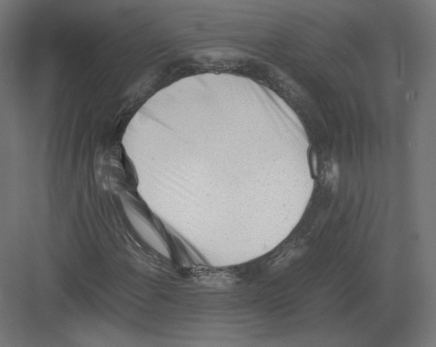 X0000082171108200702092236