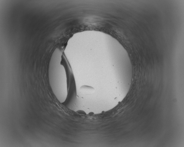 X0000082171109200702092236