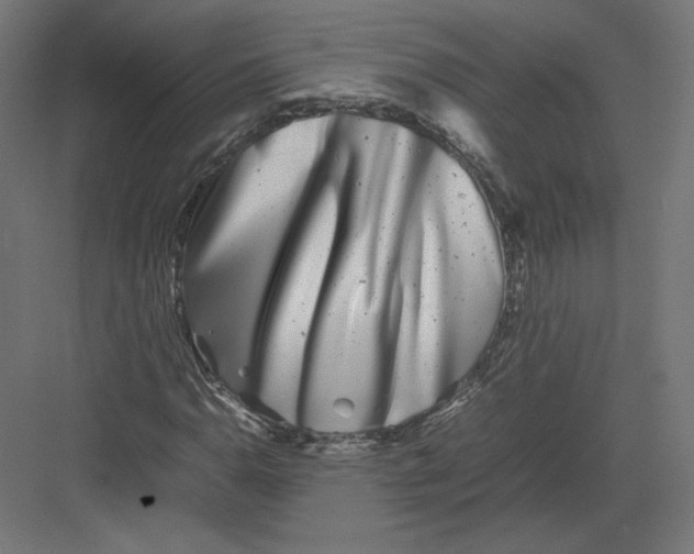 X0000082171110200702092236