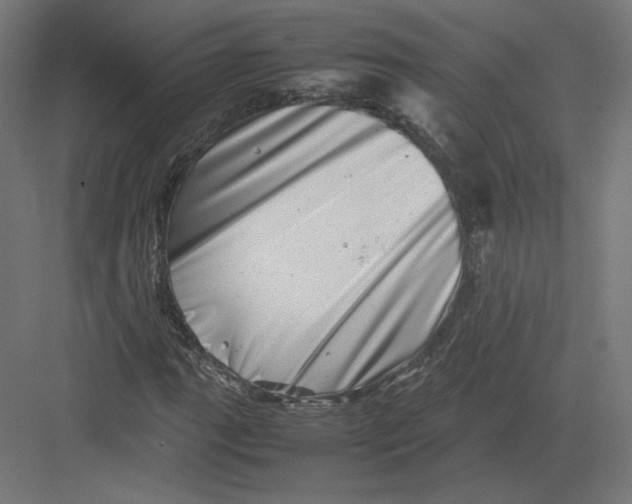 X0000082171111200702092236