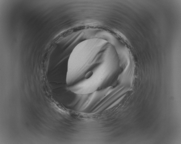 X0000082171112200702092236