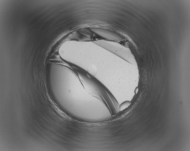 X0000082171114200702092236