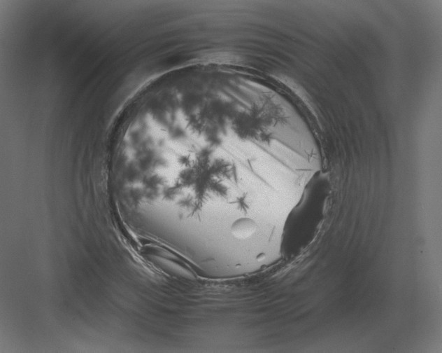 X0000082171115200702092236