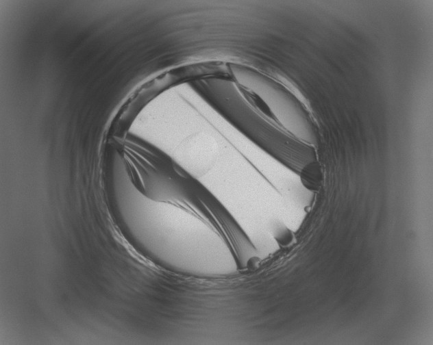 X0000082171116200702092236