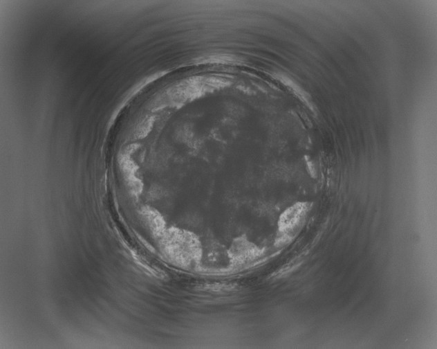 X0000082171117200702092236