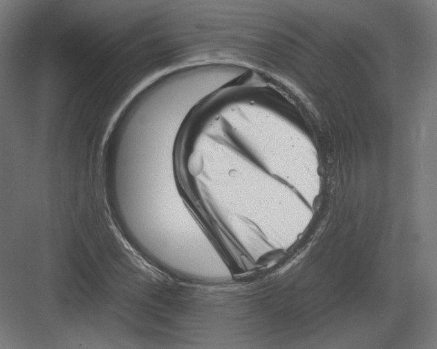 X0000082171118200702092236